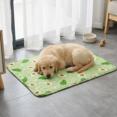 tapis rafraichissant pour chien design avocat labrador