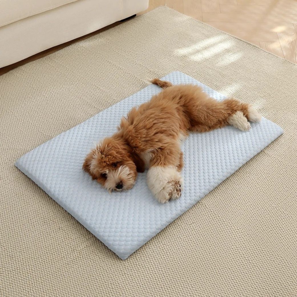 tapis rafraichissant pour chien effet fraîcheur bleu petit chien
