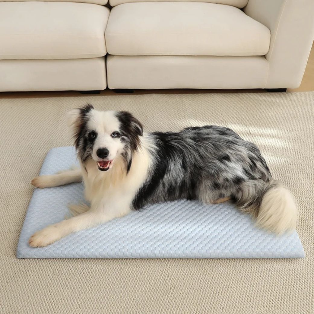 tapis rafraichissant pour chien effet fraîcheur bleu